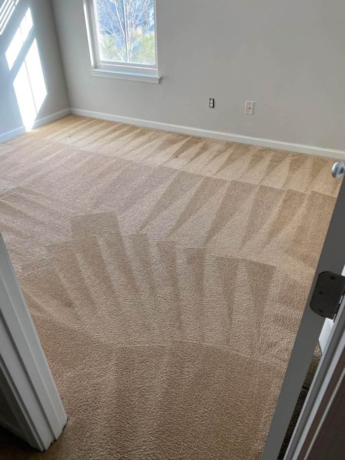 Bedroom Carpet – carpet cleaning by True North Carpet Care, Grants Pass OR
