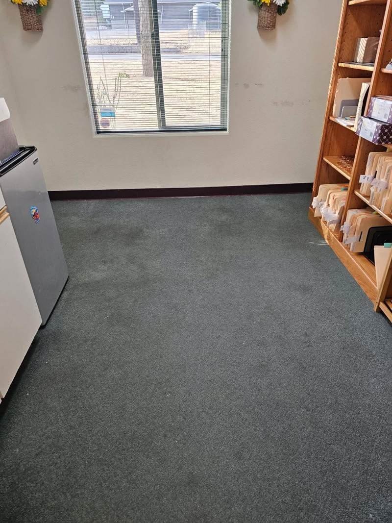 Before commercial carpet cleaning – stained office carpet