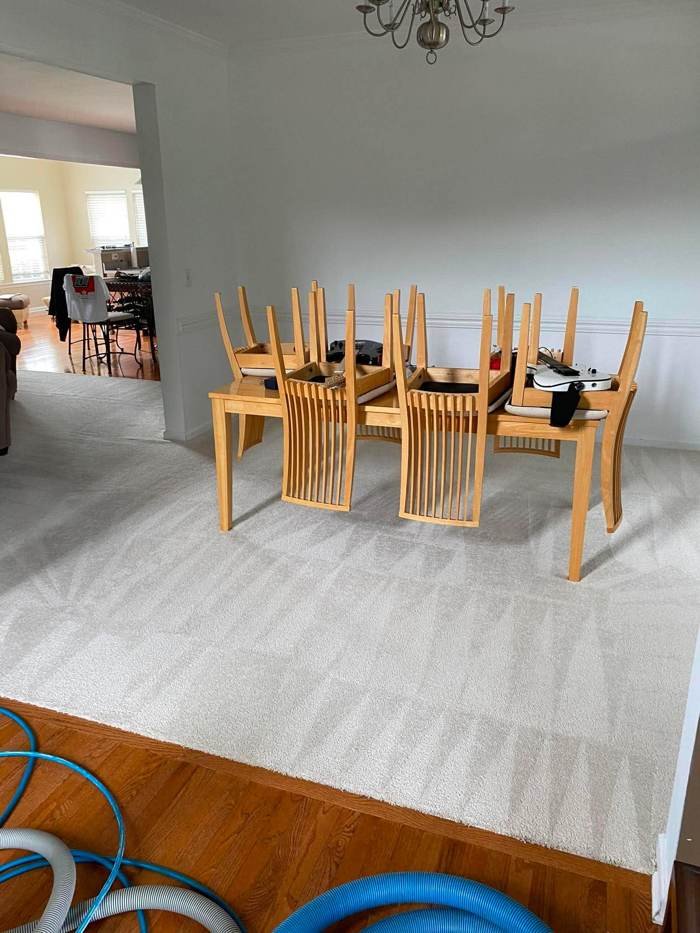 Dining Room Carpet – carpet cleaning by True North Carpet Care, Grants Pass OR