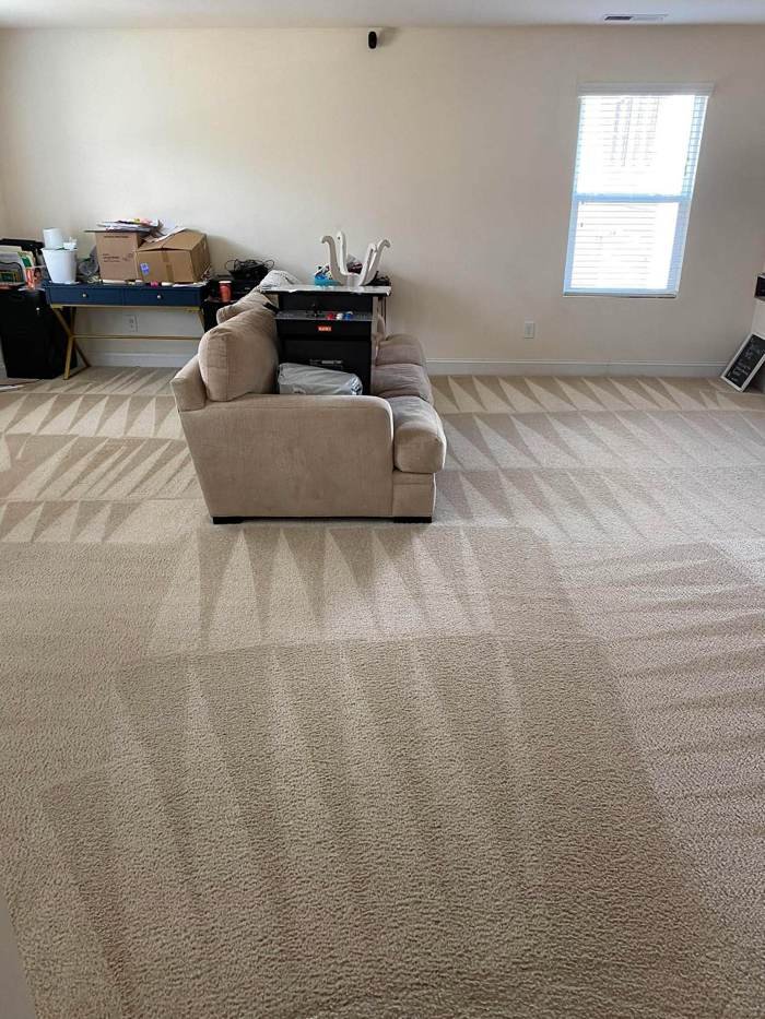 Carpet cleaning Grants Pass OR โ living room carpet after hot water extraction