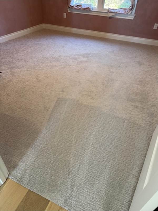 Before: Bedroom Carpet Refresh